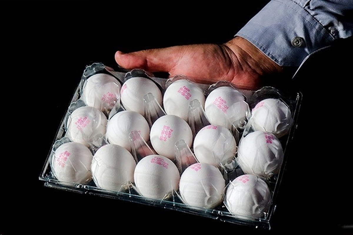 اعلام قیمت تخم‌مرغ بسته‌بندی از هفته آینده