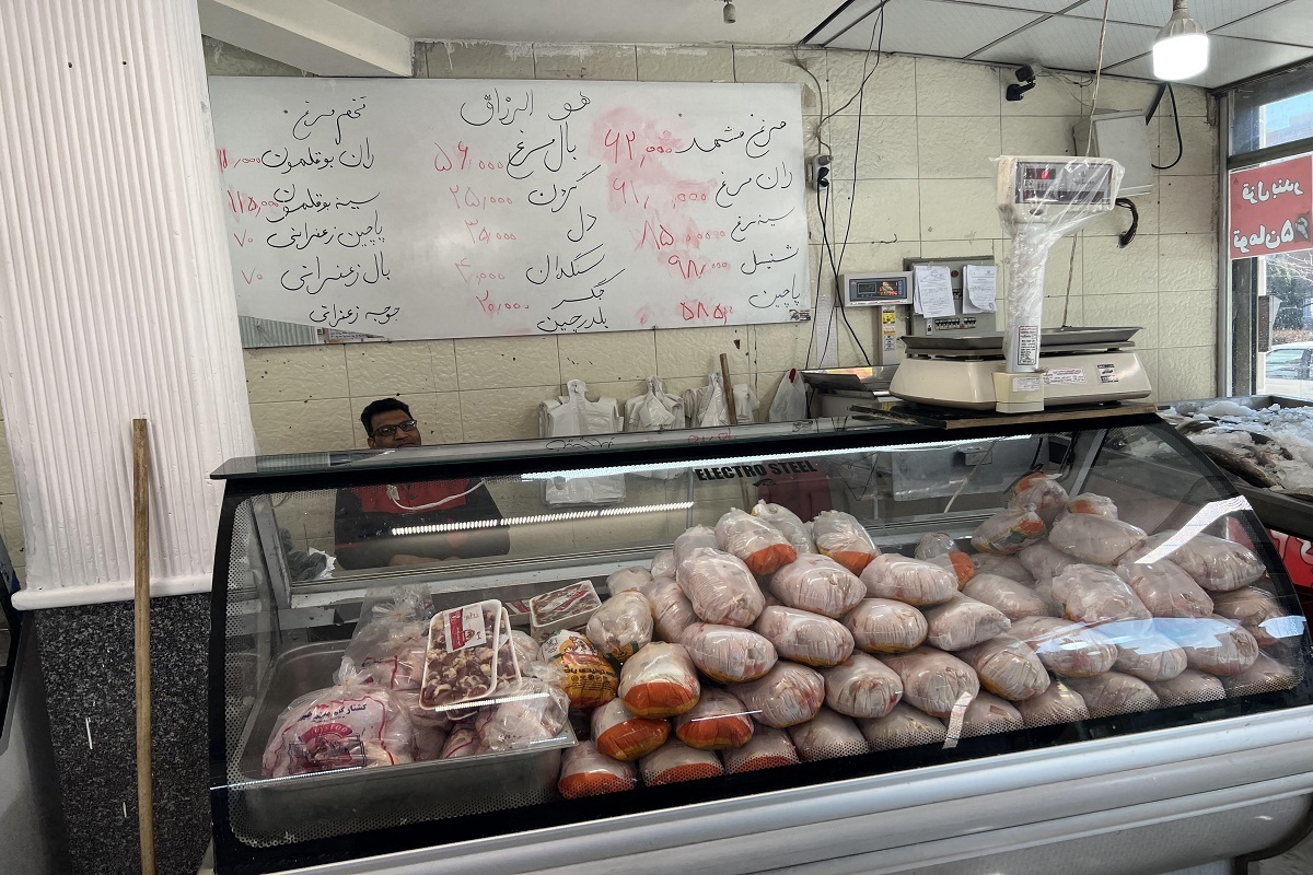 قیمت مرغ در بازار مشهد به نرخ مصوب رسید