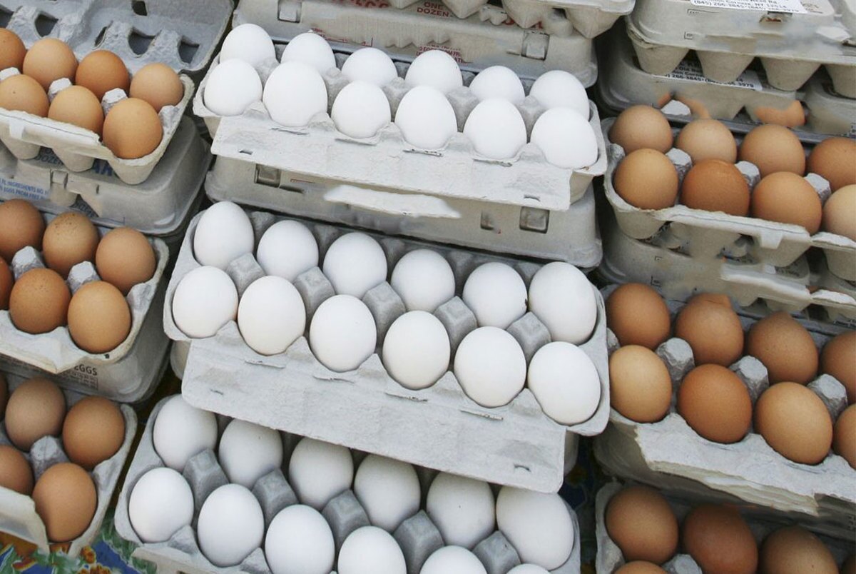 ۶ هزار و ۳۸۰ تن تخم مرغ خراسان رضوی صادر شد