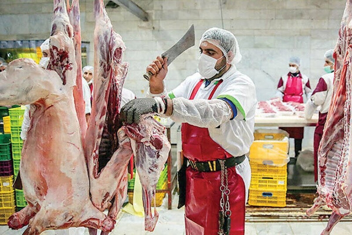 قیمت گوشت طی دو هفته آتی در مشهد روند کاهشی به خود می‌گیرد