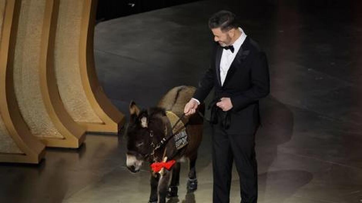 ماجرای حضور الاغ در مراسم اهدای جوایز اسکار ۲۰۲۳ + فیلم