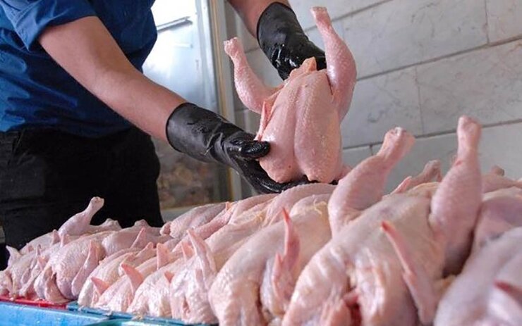 اینفوگرافی| قیمت مرغ در بازار‌های شهرداری مشهد (۱۱ تیرماه ۱۴۰۱)