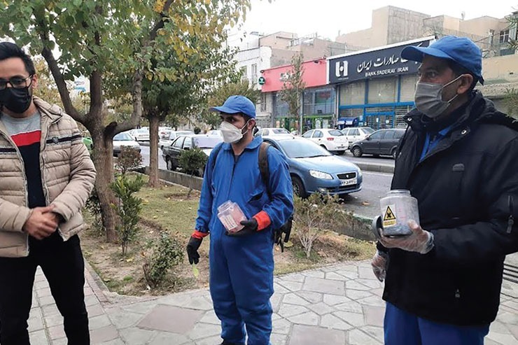 رئیس اداره محیط زیست، سلامت و ایمنی شهرداری مشهد: ۶۰ کانون موش به ۱۱ کانون کاهش پیدا کرد