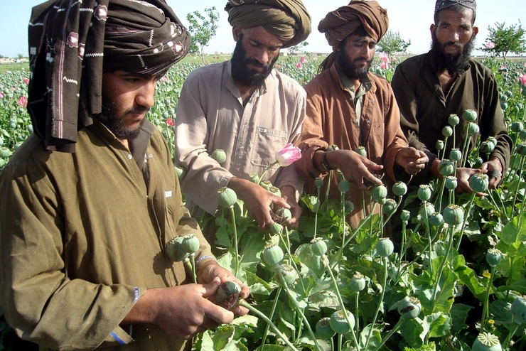 پیش‌سازهای تولید موادمخدر صنعتی از اروپا وارد افغانستان می‌شود