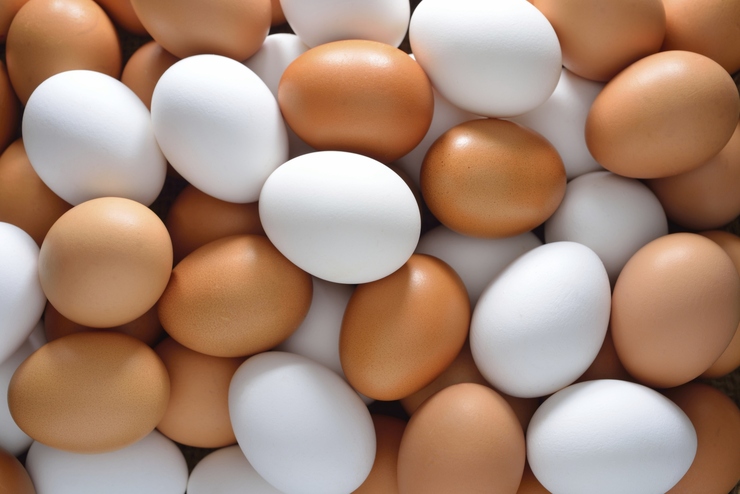 کشور با مازاد تولید تخم مرغ مواجه است، واردات تصمیمی غیر کارشناسانه است