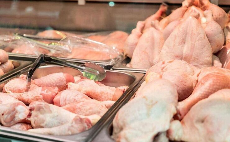 دلیل ریز بودن و کاهش وزن مرغ های عرضه شده چیست؟
