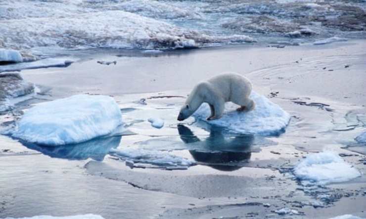 گرمایش قطب شمال و مقصر احتمالی آن