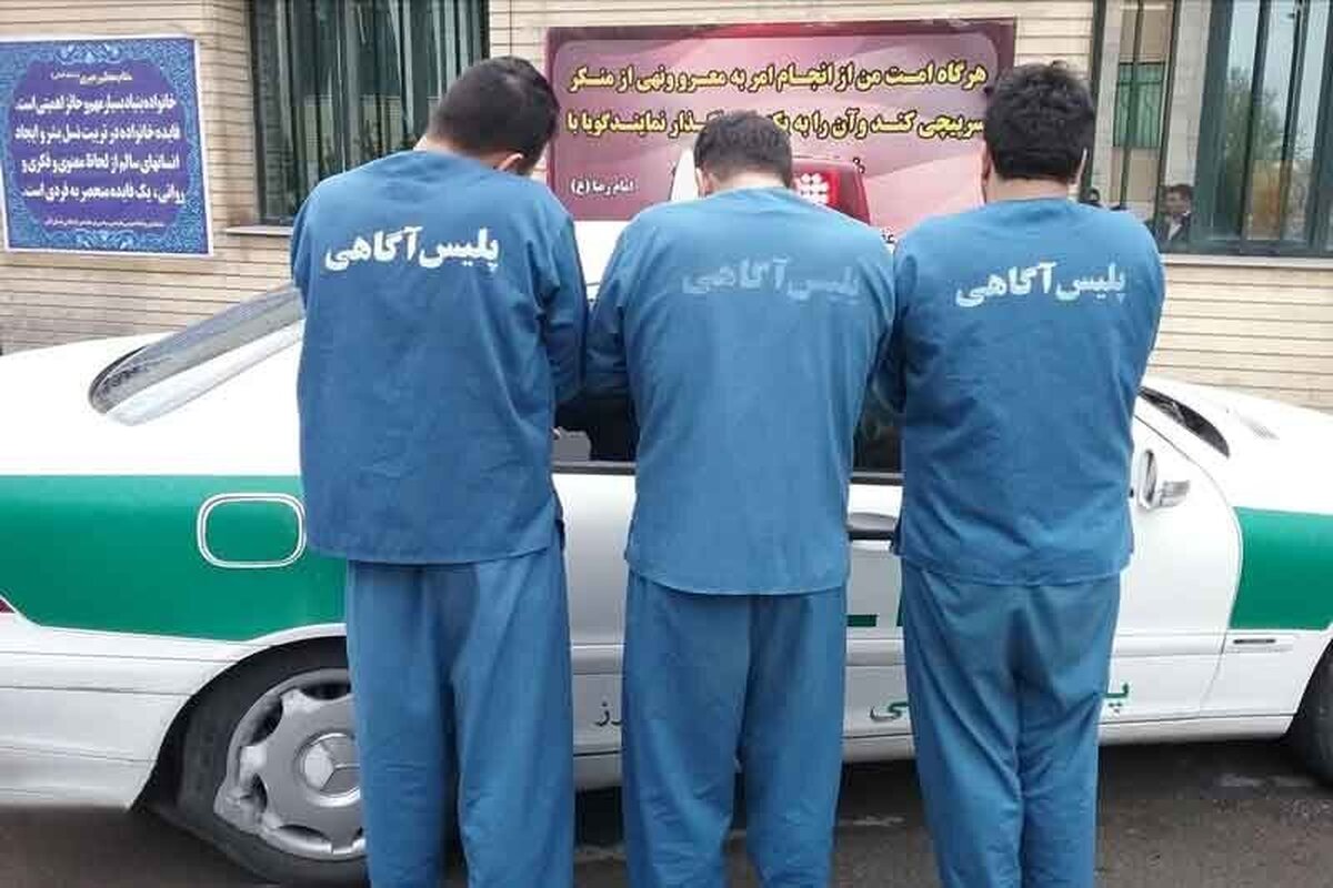 انهدام ۱۲ باند سارق و مال‌خر در غرب استان تهران
