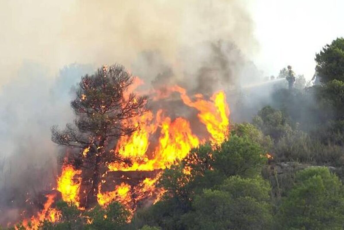 ویدئو| آتش سوزی گسترده در پارک ملی آلتوتاجوی اسپانیا