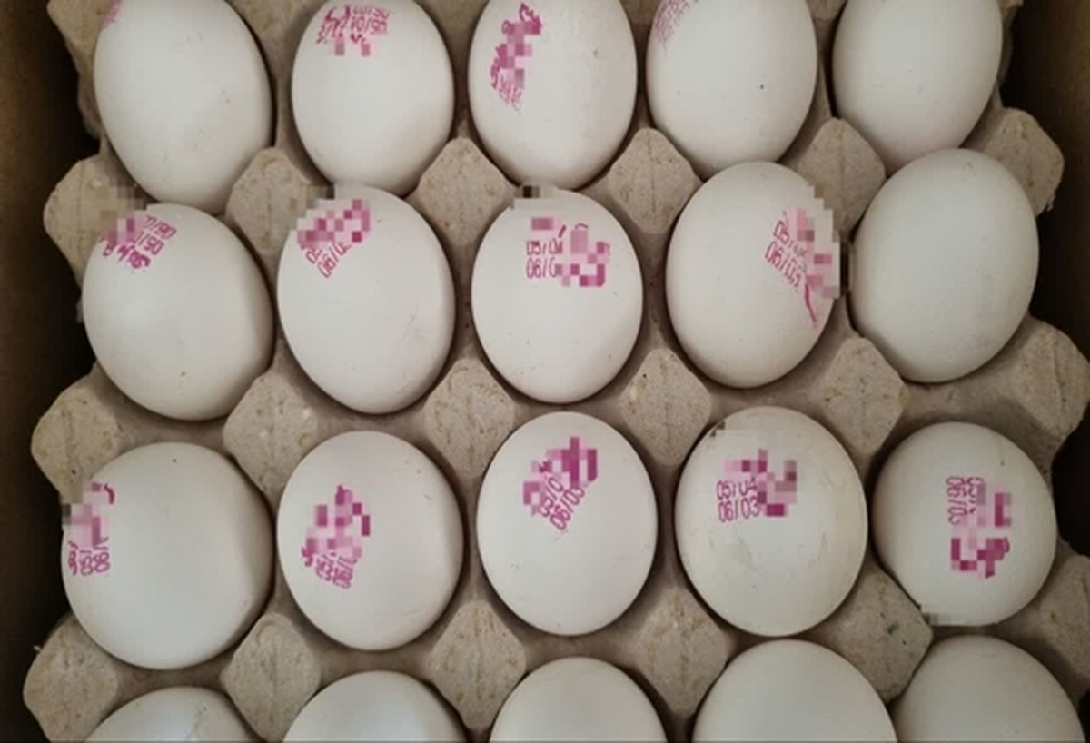 عرضه تخم‌مرغ فاقد «نشانه‌گذاری» در خراسان‌رضوی ممنوع می‌شود 