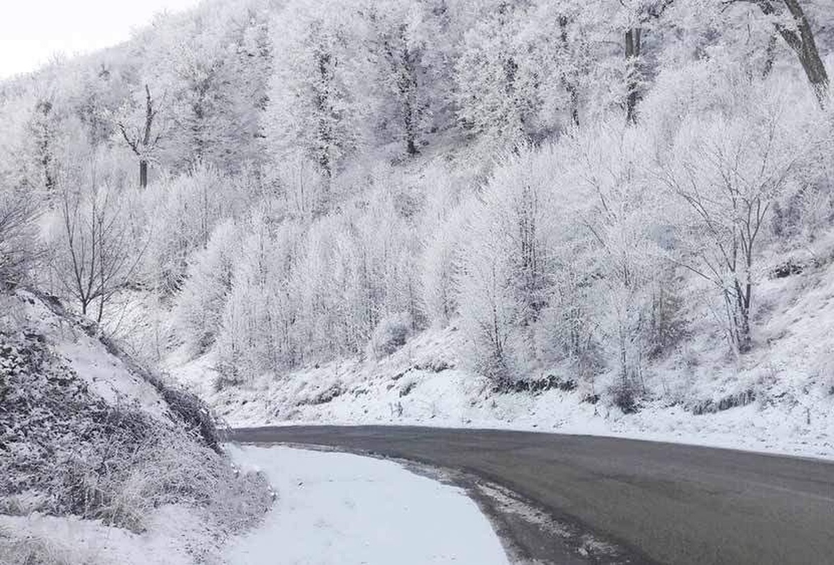 ویدئو| زمستان جاده جنگلی توسکستان در گرگان