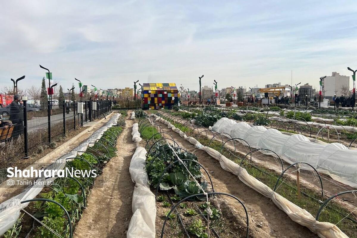 افتتاح بوستان ۲۳ هکتاری برکت در مشهد، اولین بوستان کشاورزی شهری ایران