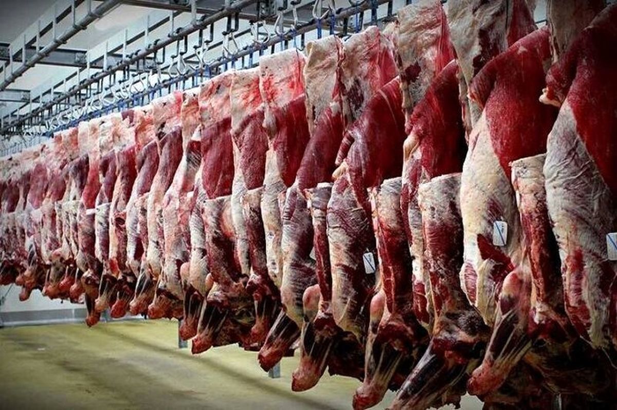 جهش دوباره نرخ گوشت | رئیس اتحادیه دامداران: دولت حمایت کند تا دام پروار شود