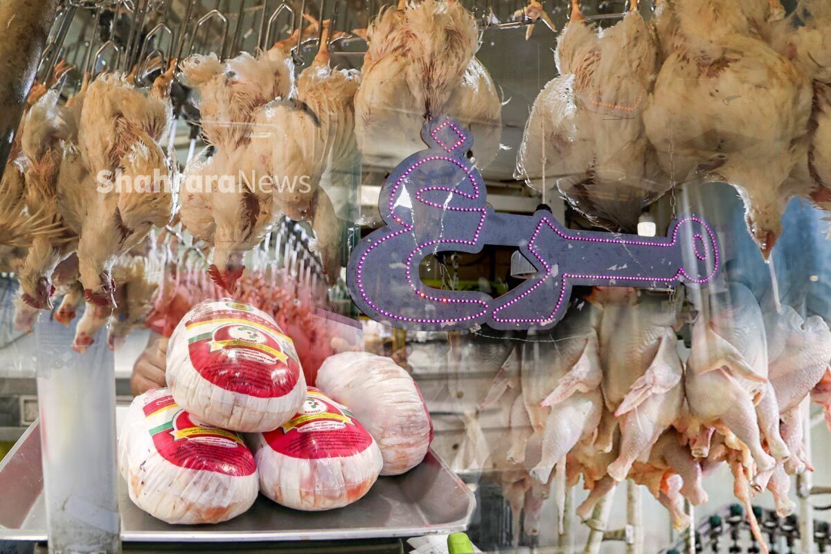 یک واحد صنفی فروش مرغ در استقلال پلمب شد (۵ دی ۱۴۰۲)