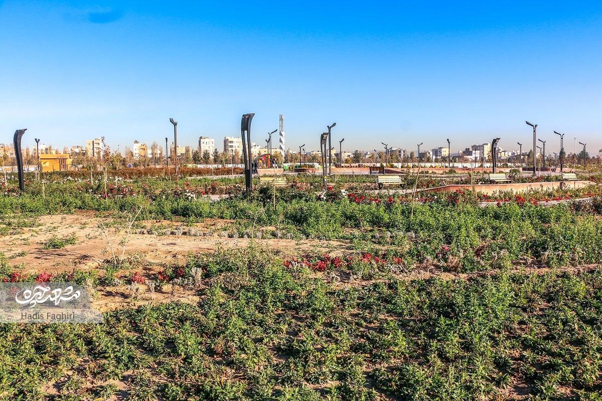 بوستان کشاورزی مشهد؛ مزرعه‌ای در دل شهر