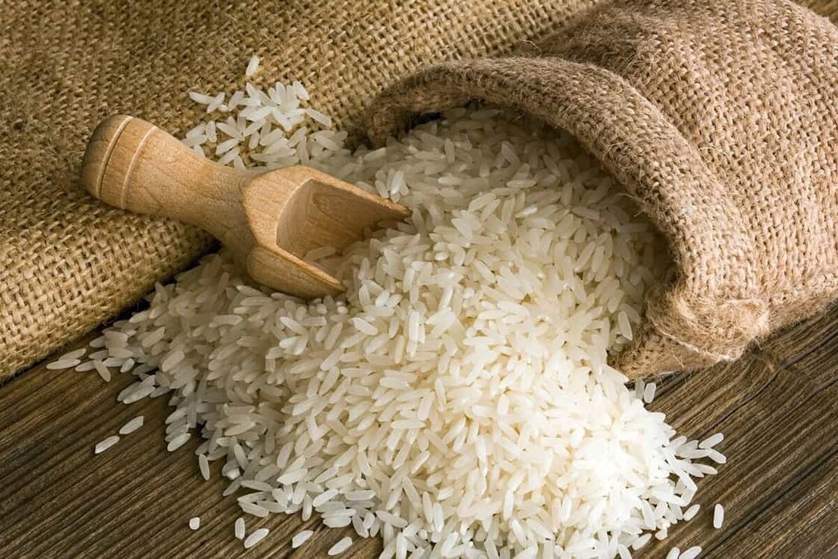 کاهش واردات برنج در راستای حمایت از تولید داخل | هدف گذاری واردات یک میلیون تن برنج در سال جاری
