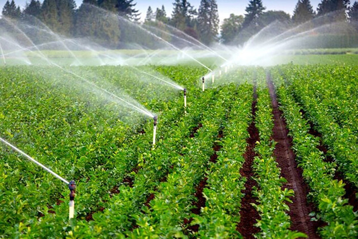 کلیدی برای احیای اقتصاد کشاورزی | ارائه ۸۰ درصد یارانه برای آبیاری تحت فشار