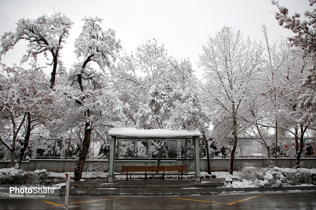 بارش برف در برخی نقاط مشهد آغاز شد | کاهش ١٠ درجه‌ای دما (۲۹ بهمن‌ ١۴٠٢)