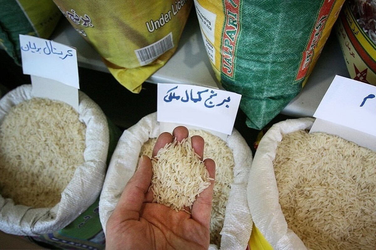 قیمت برنج ایرانی چند؟ (۸ بهمن ۱۴۰۲)