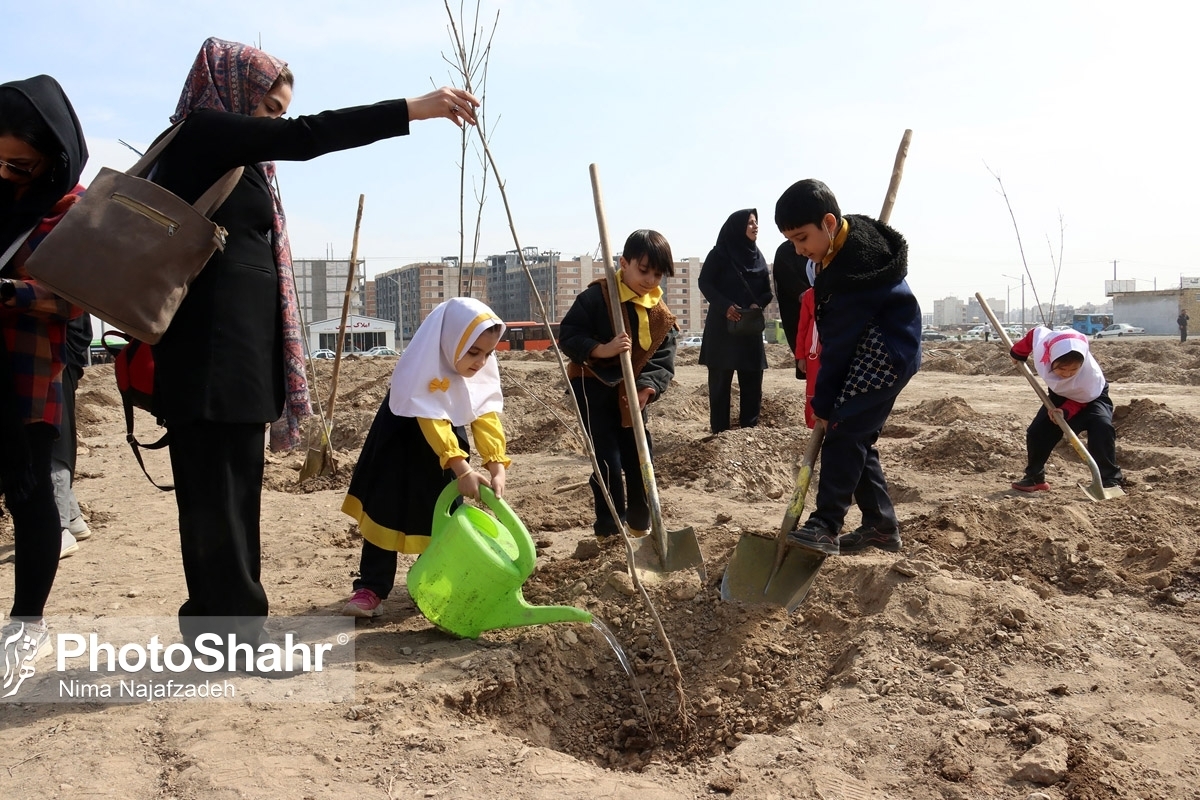 خیز ۴ ساله برای ایرانی سرسبز با کاشت یک میلیارد نهال