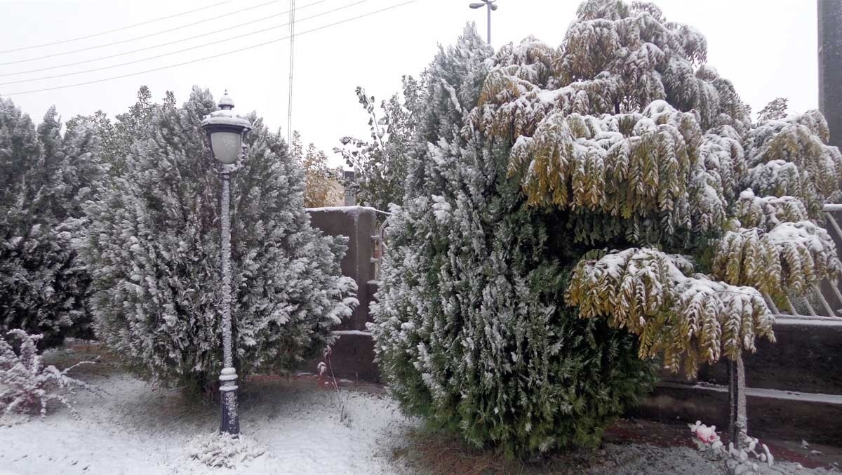 ویدئو| بارش برف در پنجاه و چهارمین روز از بهار در ورزقان