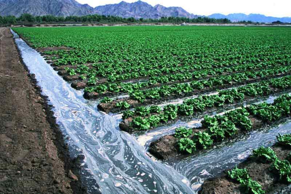 آب بخش کشاورزی پولی می‌شود؟| بررسی فصل «حکمرانی آب» در لایحه برنامه هفتم توسعه