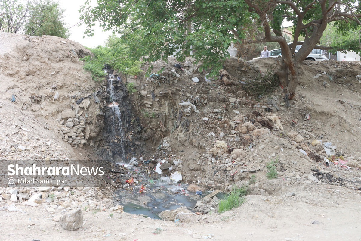 کشت صیفی جات با فاضلاب خانگی در محله مهر مادر مشهد