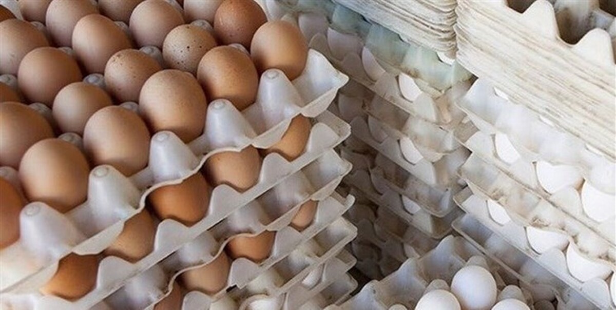 قیمت تخم مرغ در بازار کاهش یافت (۲۶ خرداد ۱۴۰۲)