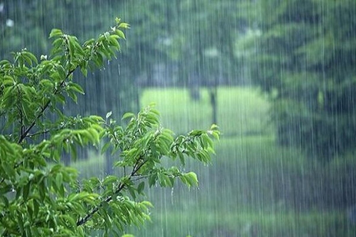 رگبار باران و احتمال آبگرفتگی معابر در ۱۱ استان (۳۱ تیرماه ۱۴۰۲)