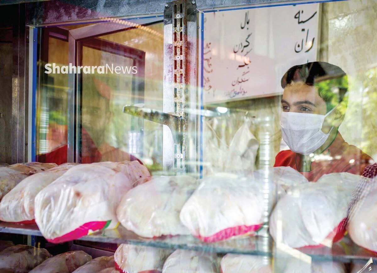 مرغ در بازار امروز مشهد با نرخ ۸۰ هزار تومان عرضه می شود (۱۱مرداد۱۴۰۲) | مرغ همچنان گران‌تر از نرخ مصوب