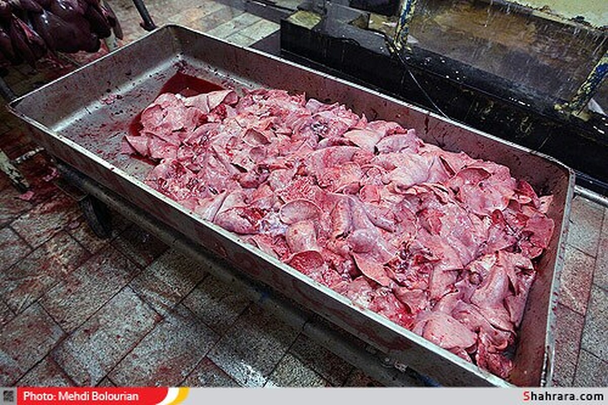 ۱۰ تن گوشت از پاکستان وارد کشور شد