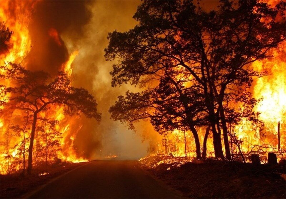 ویدئو| آتش سوزی در جنگل‌های قره داغ