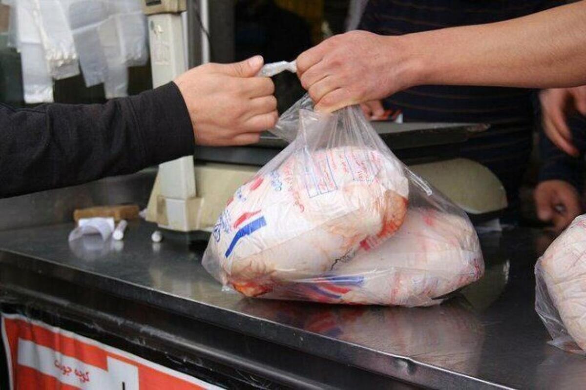 توزیع مرغ در بازار مشهد در هاله‌ای از ابهام | مرغ قطعه بندی، فراوان اما خبری از مرغ کلیپسی نیست
