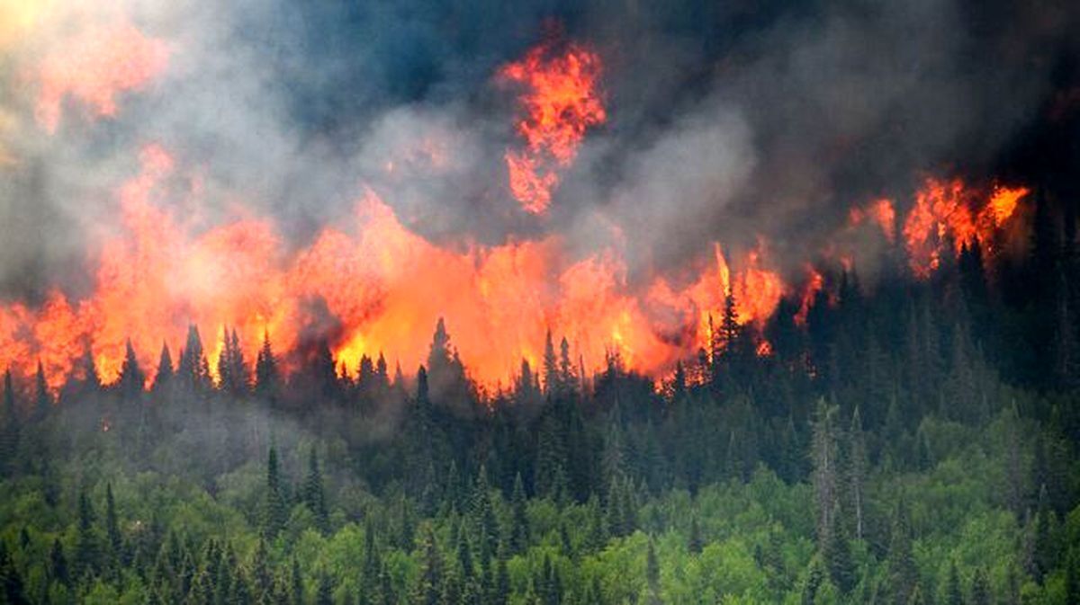 ویدئو| آتش سوزی به جنگل های ترکیه رسید