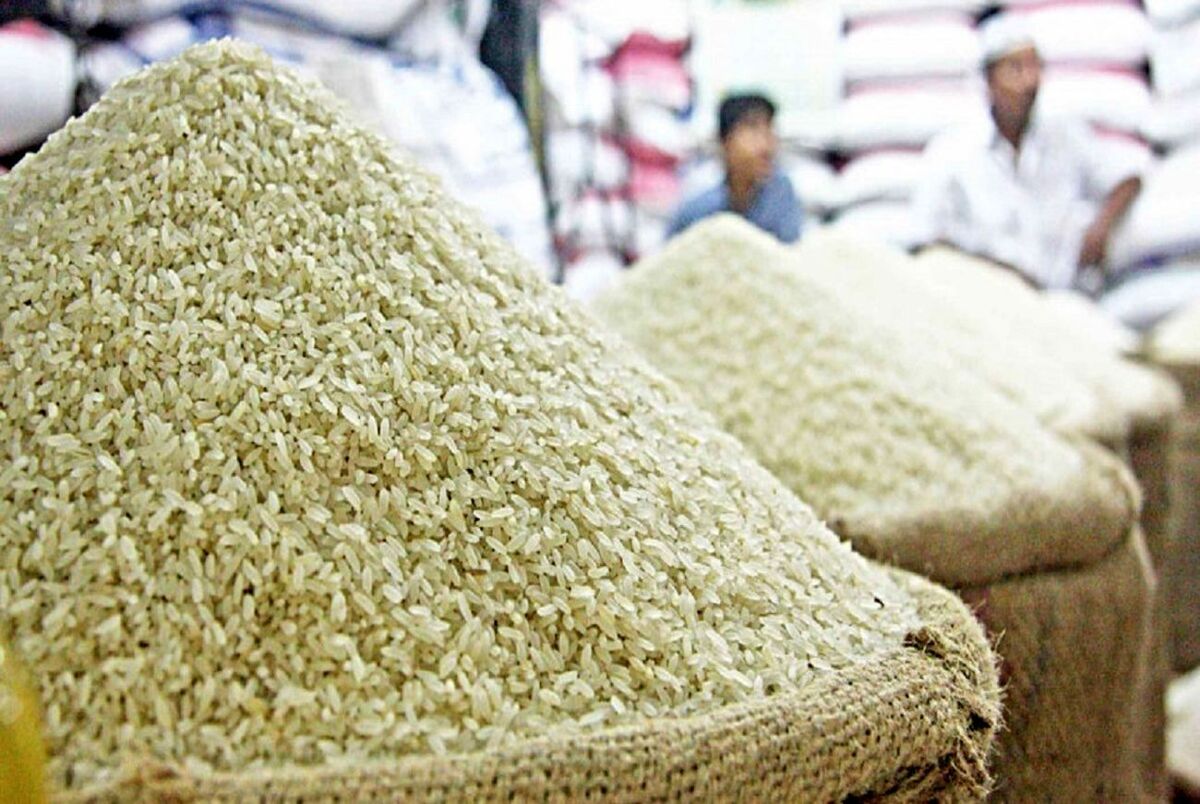 قیمت جدید برنج اعلام شد | از ۳۶۵۰۰ تا ۱۸۰ هزار تومان (۱۳ آبان ماه ۱۴۰۲)
