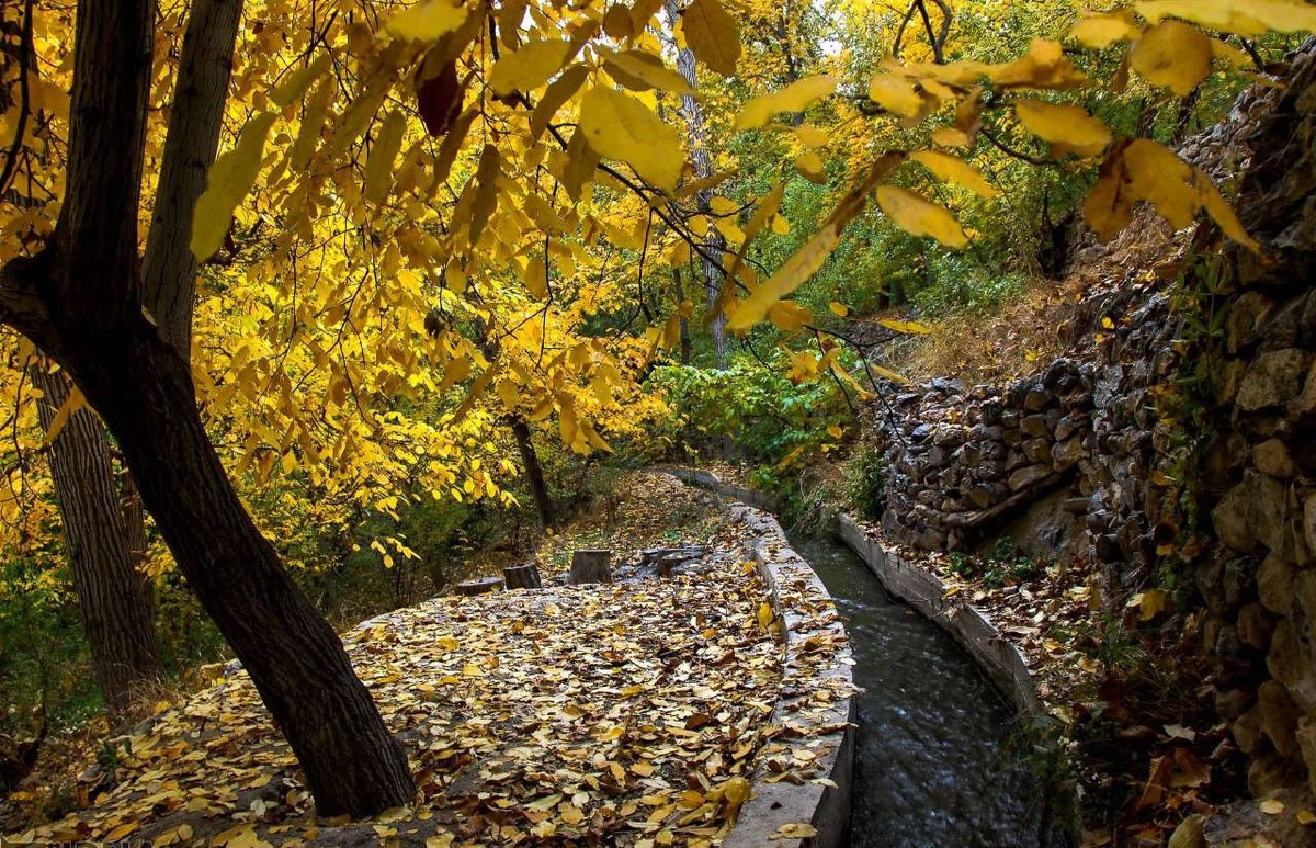 ویدئو| پاییز زیبا در شهر خوانسار