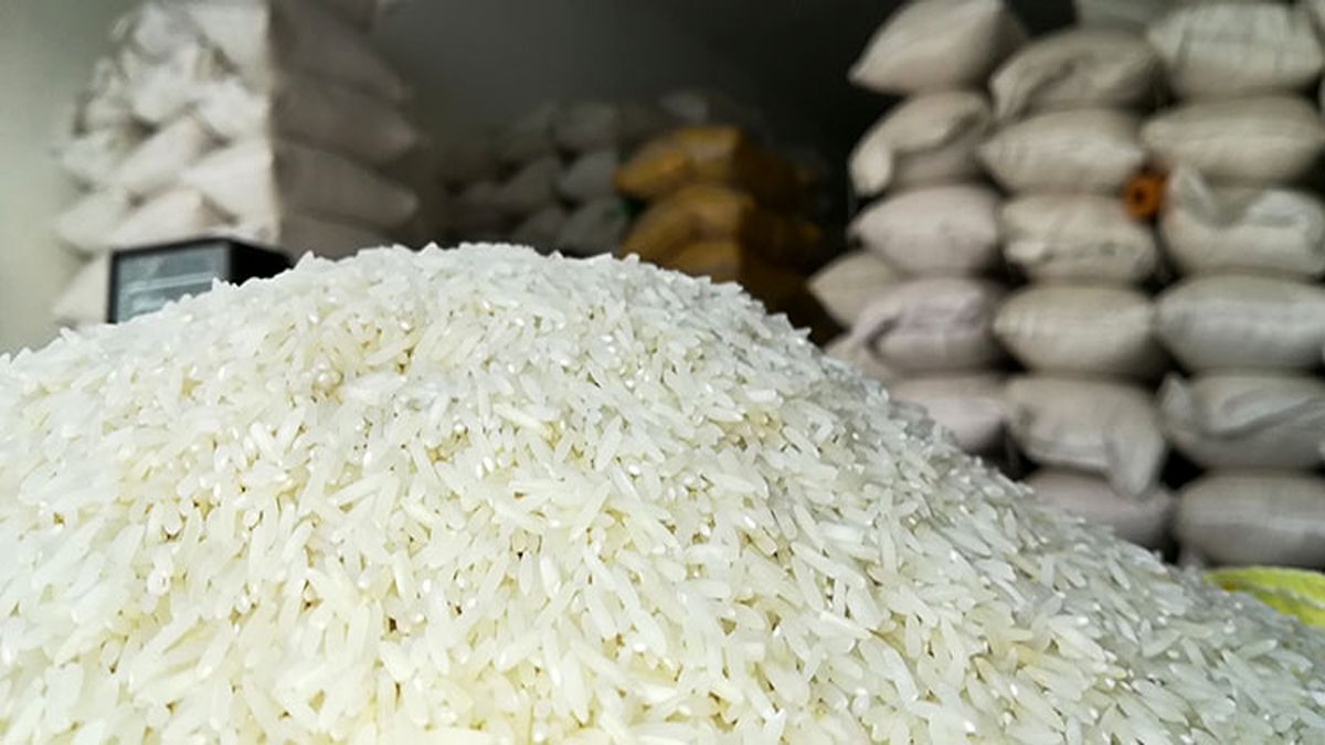 آخرین تغییرات قیمت در بازار برنج ایرانی و خارجی (۲۰ آبان ۱۴۰۲)