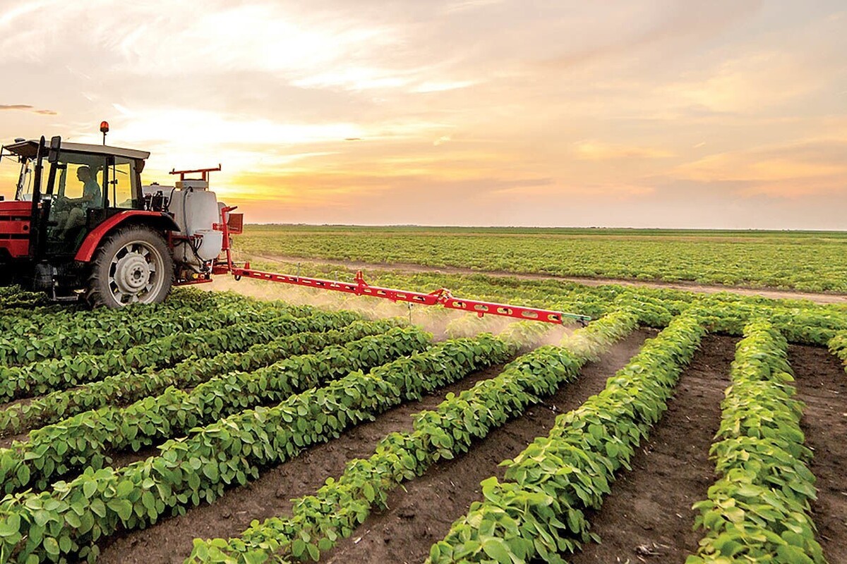 صندوق حمایت از توسعه بخش کشاورزی ۲۷۷ میلیارد تومان سرمایه دارد 