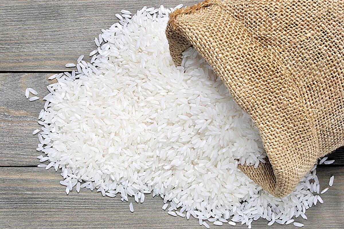 افزایش ۳۰ درصدی واردات برنج طی یک دهه اخیر (۳۰ آذر ۱۴۰۲)