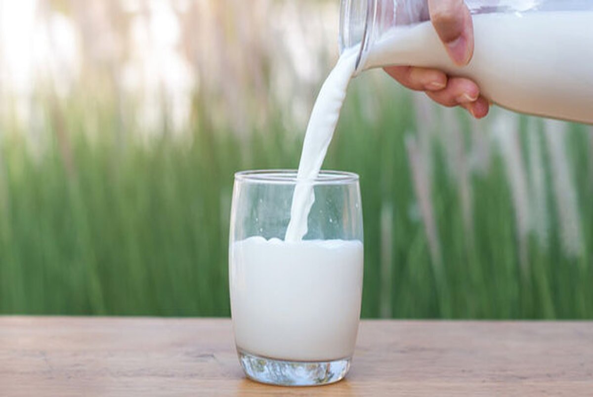 مقایسه خواص و مضرات شیر پاستوریزه با شیر کیلویی | علت عدم جذب کلسیم چیست؟