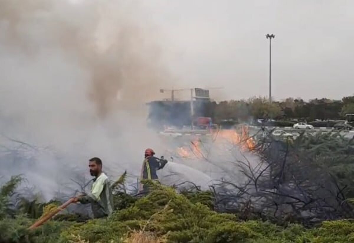 آتش سوزی تعداد زیادی درخت در میدان قائم مشهد+ فیلم (۲۰ فروردین ۱۴۰۳)