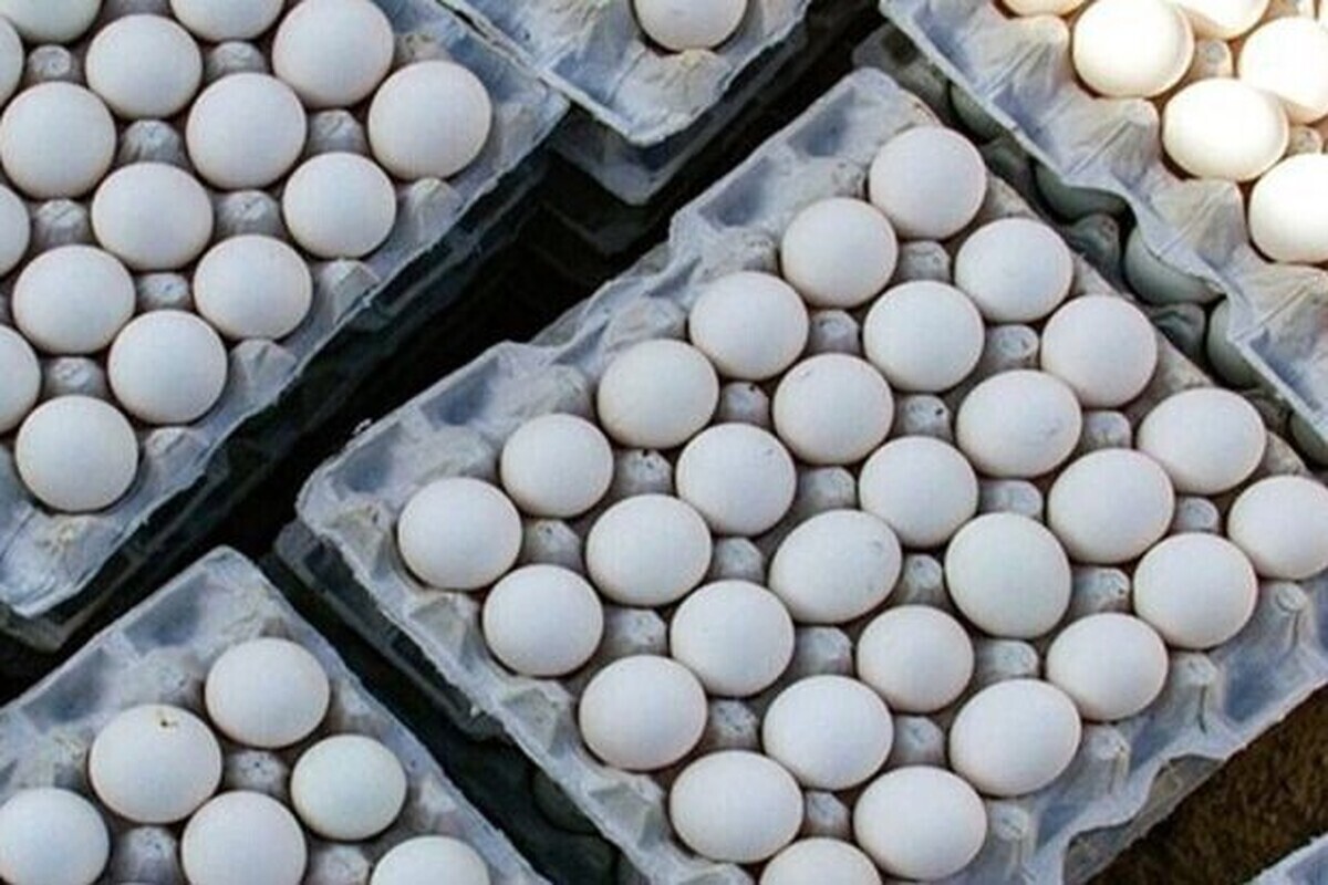بیش از ۹۰ تن تخم مرغ غیر بهداشتی در شهرستان مشهد کشف و توقیف شد