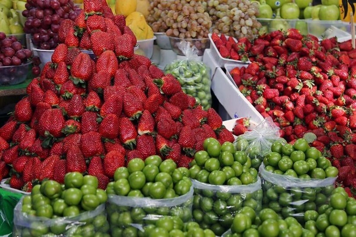 کاهش قیمت میوه‌های نوبرانه در مشهد (۱۰ اردیبهشت ۱۴۰۳)