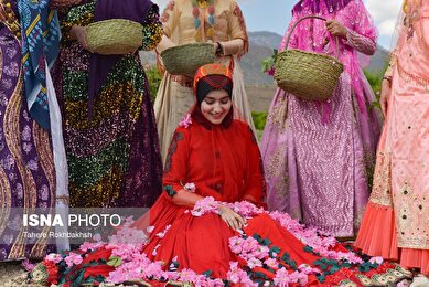 ایران زیباست | جشنواره گل و گلابگیری میمند در استان فارس