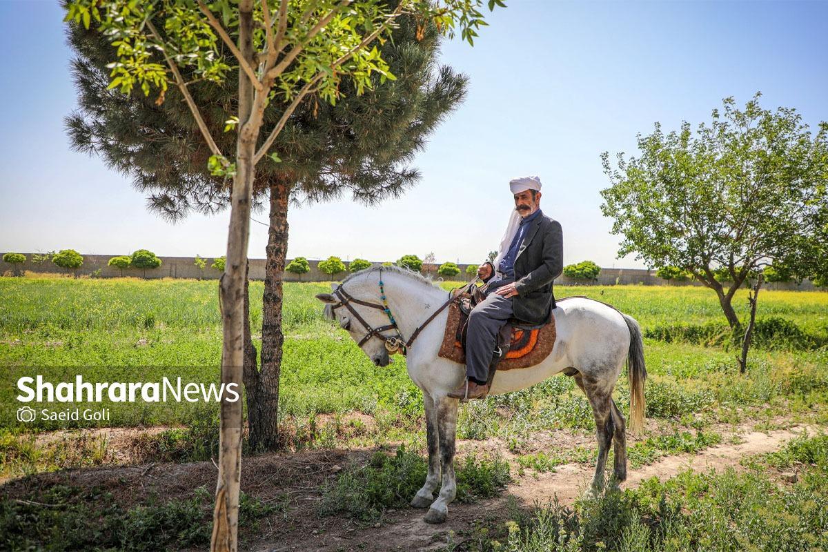 گپ و گفت با میراث دار سنت پرورش اسب یورقه در مهدی آباد| ما که هرچه بردیم، با رفقا خوردیم  